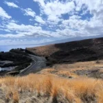 Vue panoramique en hauteur de la route sinueuse du littoral bordée par la savane dorée et les falaises basaltiques à Saint-Paul.