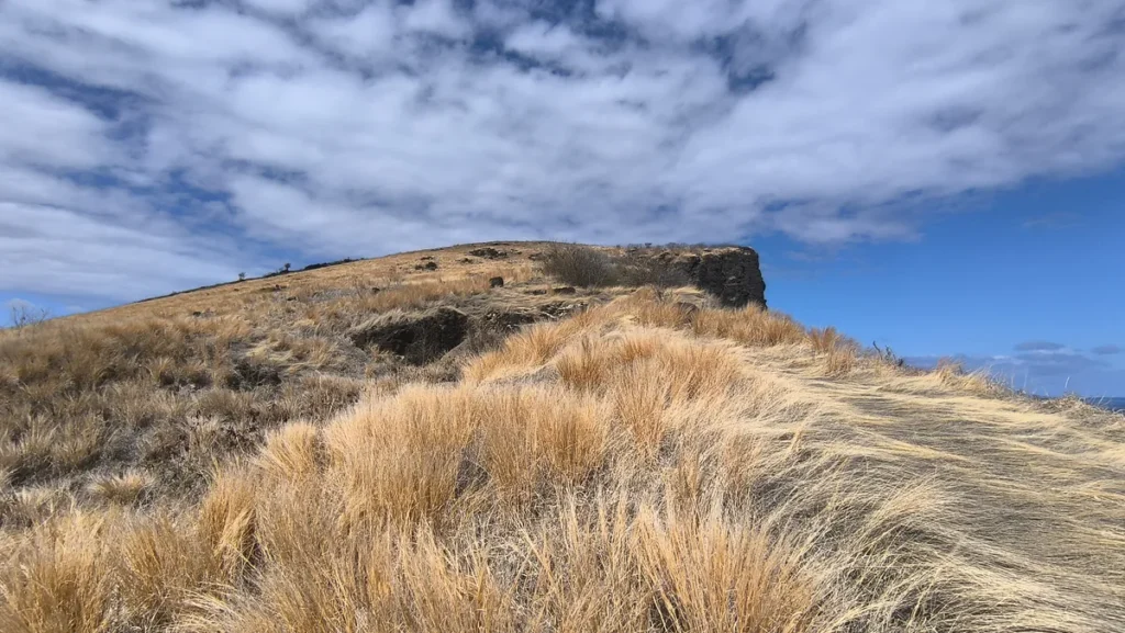 Contre-plongée sur une colline de la savane aux herbes dorées s'élevant vers un éperon rocheux sous un ciel nuageux à Saint-Paul.