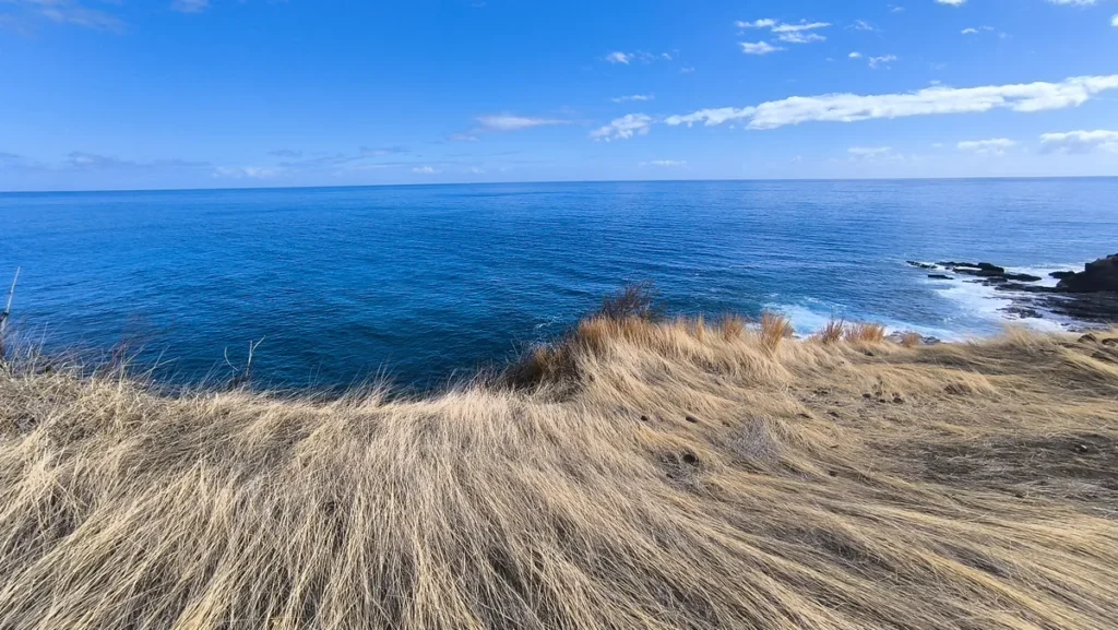 Plongée sur le tapis d'herbes séchées bordant la falaise volcanique se jetant dans les vagues de l'océan Indien à Saint-Paul.