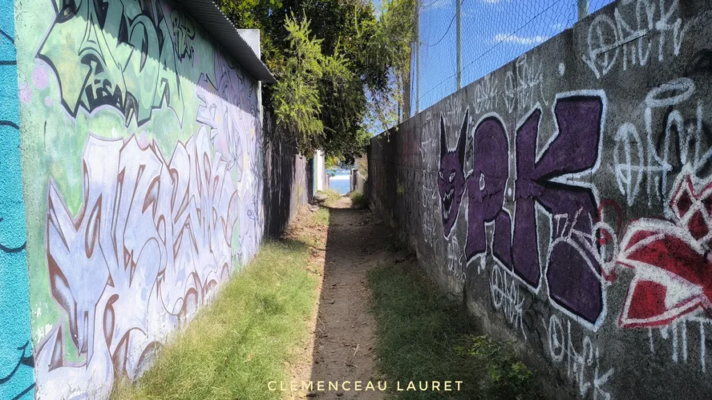 Perspective d'un chemin de terre entouré de fresques murales violettes ouvrant sur l'océan turquoise à Saint-Gilles-les-Bains.