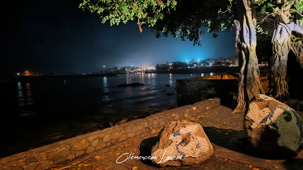 Promenade bordée d'un mur en maçonnerie de nuit à Terre-Sainte, banyan éclairé à droite et rochers décorés en mosaïque au sol.