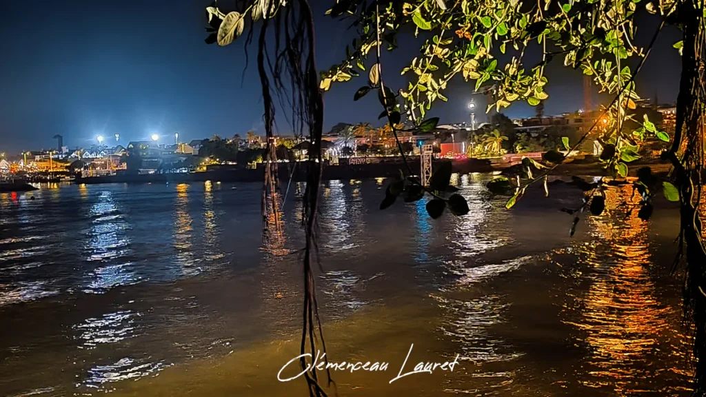 Lianes suspendues au premier plan sur une mer nocturne aux reflets ambrés et dorés à Terre-Sainte, lumières de la ville en arrière-plan.