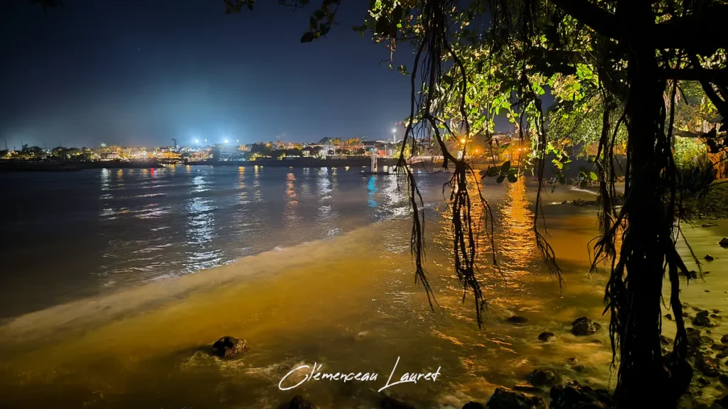 Vague bordant le rivage illuminé de nuit à Terre-Sainte, banyan imposant à droite et lueurs de la ville se reflétant sur l'eau.